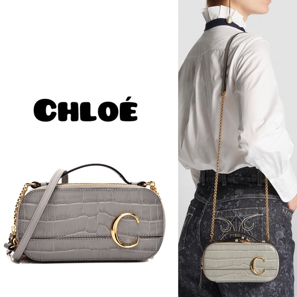 ☀️NWT☀️Chloé Mini C Vanity Bag Croc Embossed Gray - Picture 2 of 16